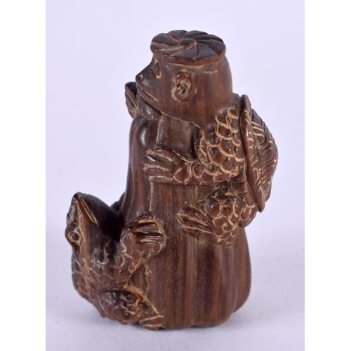 2244 - A JAPANESE CARVED BOXWOOD FROG NETSUKE. 6 cm x 4 cm.