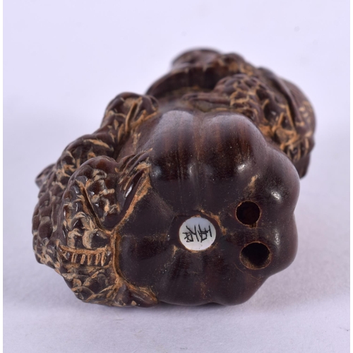 2244 - A JAPANESE CARVED BOXWOOD FROG NETSUKE. 6 cm x 4 cm.