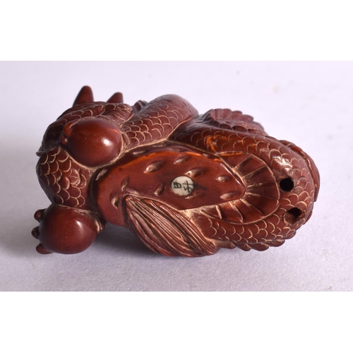 2252 - A JAPANESE CARVED BOXWOOD DRAGON NETSUKE. 5 cm x 3 cm.