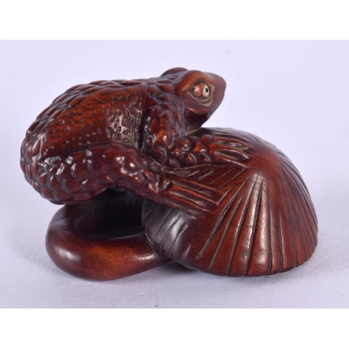 2253 - A JAPANESE CARVED BOXWOOD TOAD AND MUSHROOM NETSUKE. 5 cm x 3 cm.