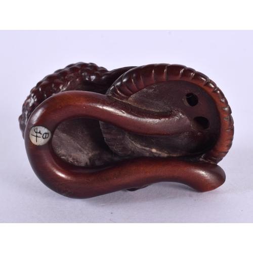 2253 - A JAPANESE CARVED BOXWOOD TOAD AND MUSHROOM NETSUKE. 5 cm x 3 cm.