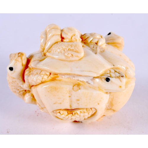 2312 - A JAPANESE CARVED BONE TOAD OKIMONO. 5 cm x 3 cm.