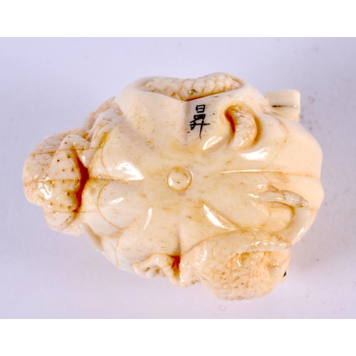 2312 - A JAPANESE CARVED BONE TOAD OKIMONO. 5 cm x 3 cm.