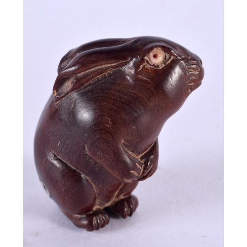 2318 - A JAPANESE CARVED BONE HARE NETSUKE. 5 cm x 3 cm.