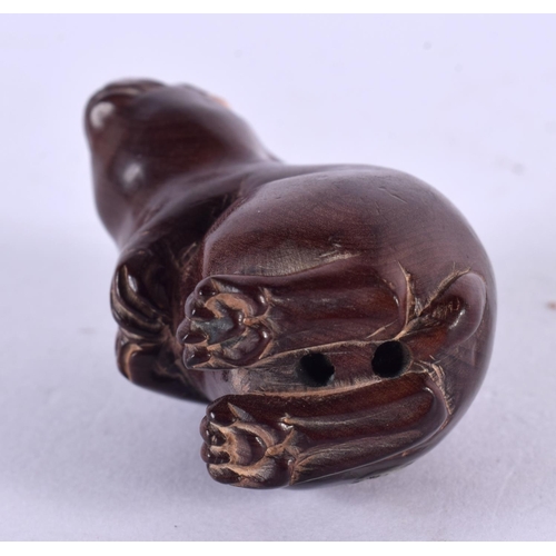 2318 - A JAPANESE CARVED BONE HARE NETSUKE. 5 cm x 3 cm.