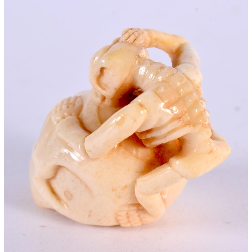 2328 - A JAPANESE CARVED BONE SKULL NETSUKE. 5 cm x 3.5 cm.