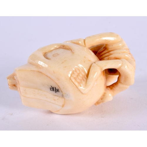 2328 - A JAPANESE CARVED BONE SKULL NETSUKE. 5 cm x 3.5 cm.