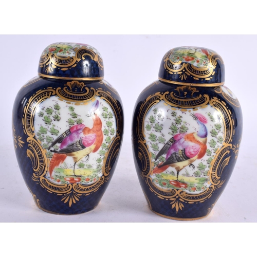 17 - A PAIR OF 19TH CENTURY SAMSONS OF PARIS PORCELAIN TEA CANISTERS AND COVERS painted in the Worcester ... 