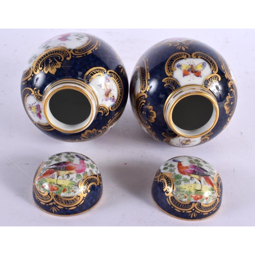 17 - A PAIR OF 19TH CENTURY SAMSONS OF PARIS PORCELAIN TEA CANISTERS AND COVERS painted in the Worcester ... 