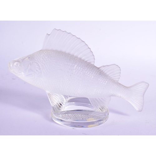 20 - A FRENCH LALIQUE GLASS FIGURE OF A PERCH. 15 cm wide.