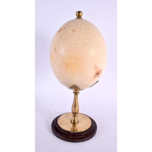 297 - AN EDWARDIAN TAXIDERMY BRONZE MOUNTED OSTRICH EGG. 28 cm high.