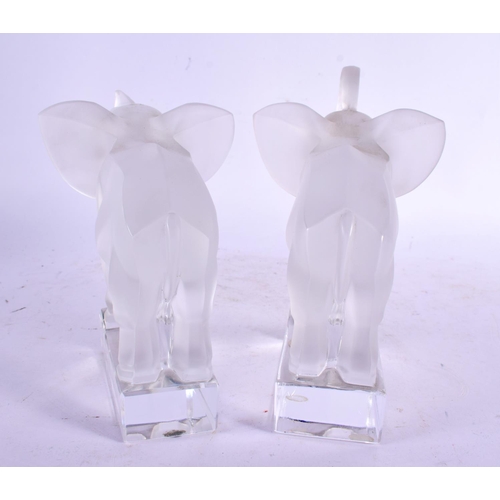 30 - A PAIR OF FRENCH LALIQUE GLASS ELEPHANTS. 16 cm x 14 cm.