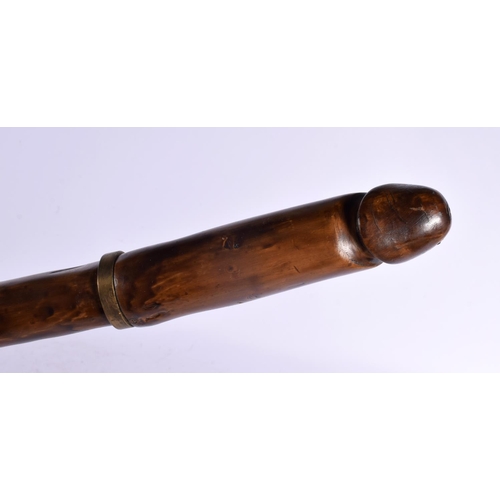 309 - AN UNUSUAL VINTAGE NOVELTY PHALLIC CARVED WOOD WALKING CANE modelled with a thick shaft. 97 cm long.