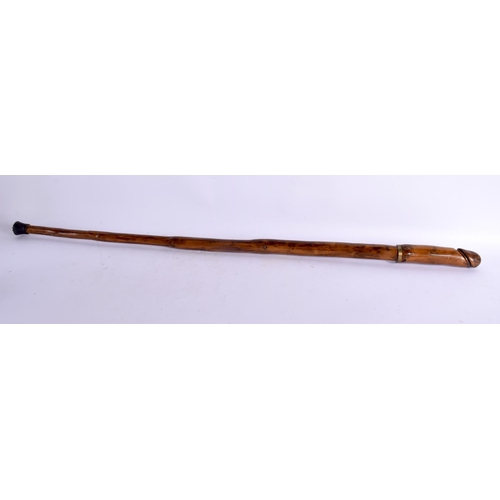 309 - AN UNUSUAL VINTAGE NOVELTY PHALLIC CARVED WOOD WALKING CANE modelled with a thick shaft. 97 cm long.