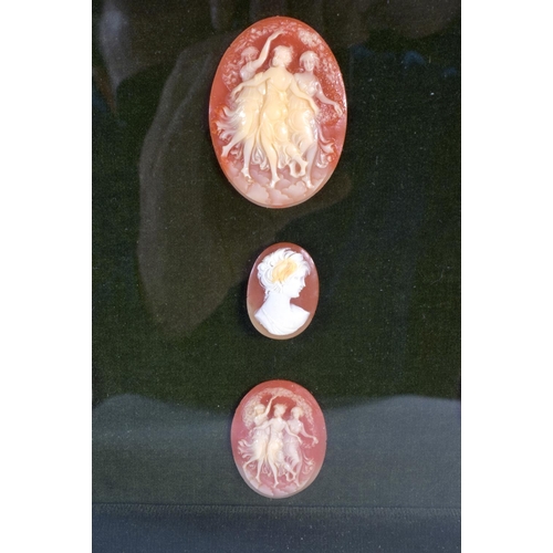 348 - A FRAMED SET OF EARLY 20TH CENTURY CAMEO PLAQUES depicting females. 32 cm x 28 cm.