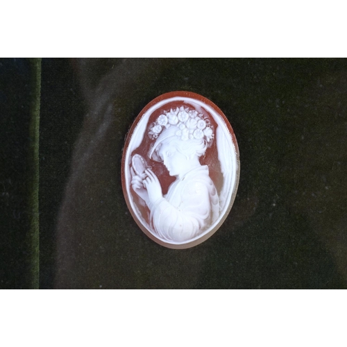 348 - A FRAMED SET OF EARLY 20TH CENTURY CAMEO PLAQUES depicting females. 32 cm x 28 cm.