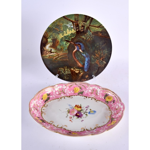 36 - AN EARLY 19TH CENTURY COALPORT PORCELAIN DISH together with an English Kingfisher cabinet plate. Lar... 