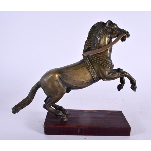 425 - A 19TH CENTURY EUROPEAN GRAND TOUR BRONZE FIGURE OF A HORSE modelled rearing. 17 cm x 17 cm.