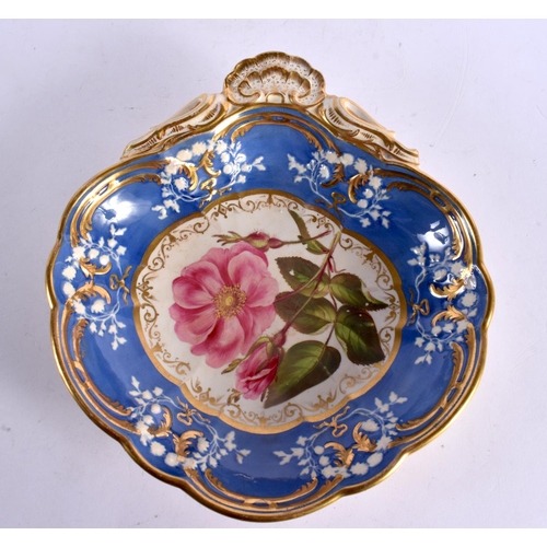 43 - AN EARLY 19TH CENTURY ENGLISH PORCELAIN SHELL FORM DISH painted with bold roses, together with an im... 