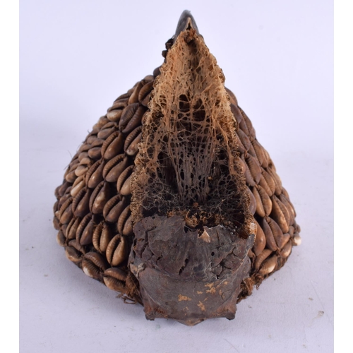 503 - AN EARLY 20TH CENTURY AFRICAN CARVED BIRD HEAD CONCH SHELL HAT possibly Lega. 21 cm x 15 cm.