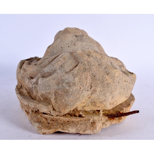 561 - AN 18TH/19TH CENTURY ENGLISH CARBED LIMESTONE HEAD OF A LION. 25 cm x 14 cm.