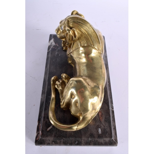 565 - French School (18th/19th Century) Pair, Gilt bronze, Lions upon marble bases. 22 cm x 12 cm.