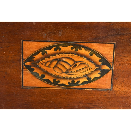 576 - A VERY LARGE GEORGE III MAHOGANY COUNTRY HOUSE TRAY inset with a shell. 75 cm x 55 cm.