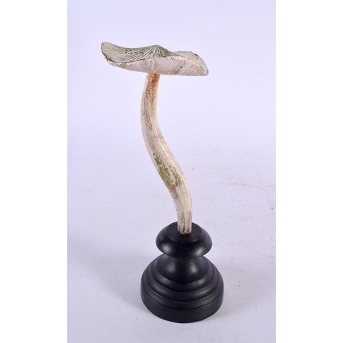 588 - A CARVED TAXIDERMY TYPE PAINTED FOLK ART MUSHROOM. 22 cm high.