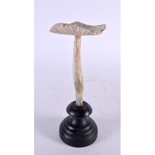 588 - A CARVED TAXIDERMY TYPE PAINTED FOLK ART MUSHROOM. 22 cm high.