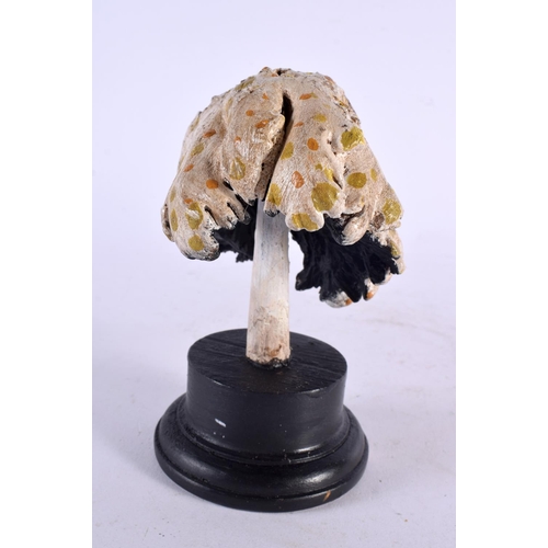 589 - A CARVED TAXIDERMY TYPE PAINTED FOLK ART MUSHROOM. 16 cm high.