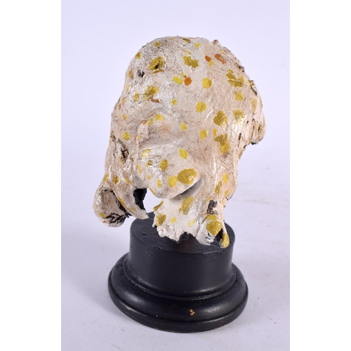 589 - A CARVED TAXIDERMY TYPE PAINTED FOLK ART MUSHROOM. 16 cm high.