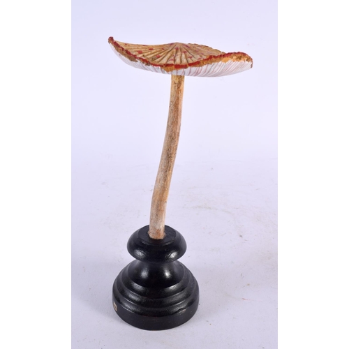 590 - A CARVED TAXIDERMY TYPE PAINTED FOLK ART MUSHROOM. 23 cm high.