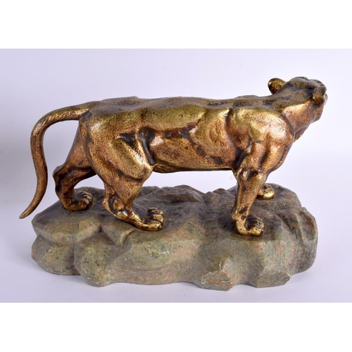 615 - French School (C1900) Pair, Bronze lion and lioness. Largest 24 cm x 21 cm.