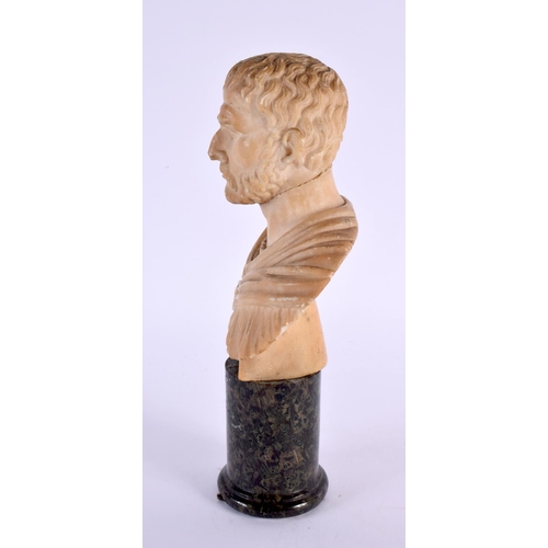 630 - A 19TH CENTURY EUROPEAN GRAND TOUR CARVED ALABASTER BUST OF A MALE modelled upon a marble plinth. 19... 