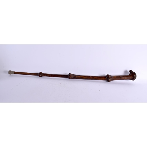 736 - A 19TH CENTURY CONTINENTAL CARVED FOLK ART DOG HEAD NATURALISTIC WALKING CANE. 90 cm long.