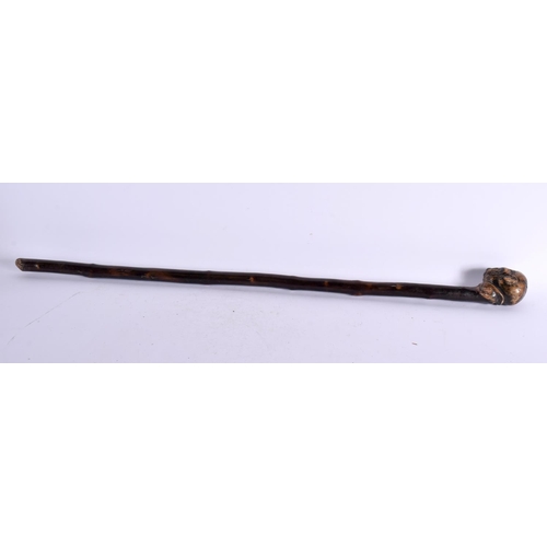 740 - AN UNUSUAL 19TH CENTURY CHINESE CARVED ROOTWOOD WALKING CANE Qing. 85 cm long.