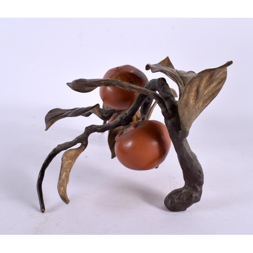 757 - A RARE 19TH CENTURY AUSTRIAN COLD PAINTED BRONZE PERSIMMON BRANCH modelled in the Japanese taste. 27... 