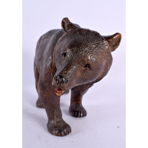 776 - A 19TH CENTURY BAVARIAN BLACK FOREST CARVED WOOD FIGURE OF A BEAR modelled roaming. 24 cm x 15 cm.