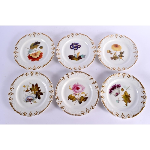 90 - A SET OF SIX EARLY 19TH CENTURY ENGLISH PORCELAIN BOTANICAL PLATES. 20 cm wide. (6)