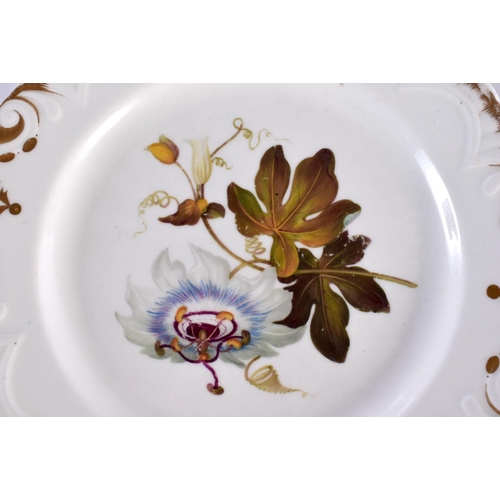 90 - A SET OF SIX EARLY 19TH CENTURY ENGLISH PORCELAIN BOTANICAL PLATES. 20 cm wide. (6)