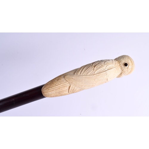 488 - A CONTEMPORARY CARVED BONE PARROT WALKING CANE 90 cm long.