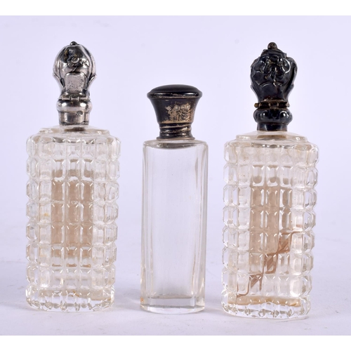 1081 - THREE ANTIQUE SILVER TOPPED SCENT BOTTLES. 133 grams. Largest 9.25 cm x 3 cm. (3)