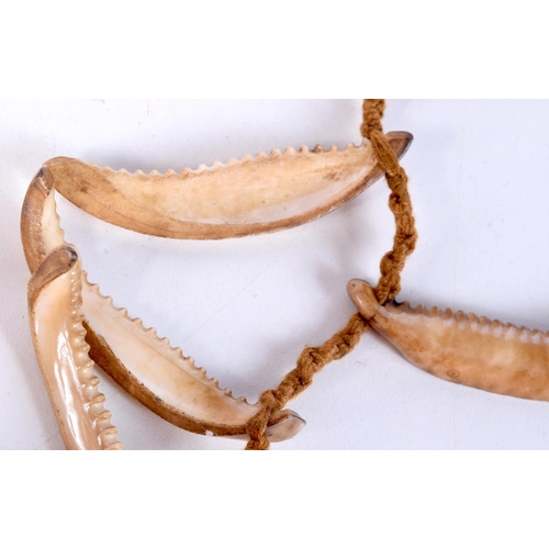 1307 - A TRIBAL CONCH SHELL NECKLACE. 335 grams. Each shell 7 cm x 1.5 cm.