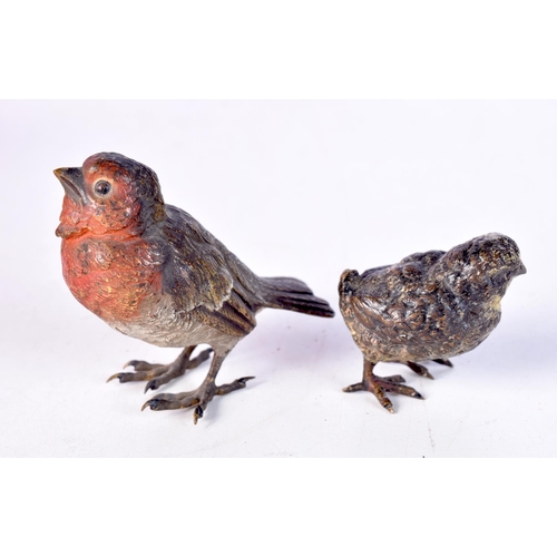 1341 - TWO ANTIQUE VIENNA COLD PAINTED BRONZE BIRDS. Largest 6.75 cm x 5.25 cm. (2)