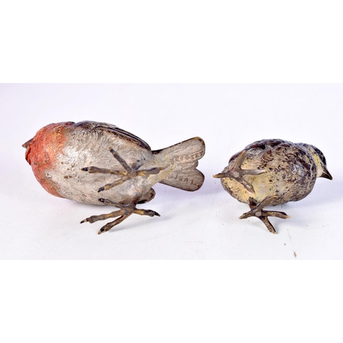 1341 - TWO ANTIQUE VIENNA COLD PAINTED BRONZE BIRDS. Largest 6.75 cm x 5.25 cm. (2)