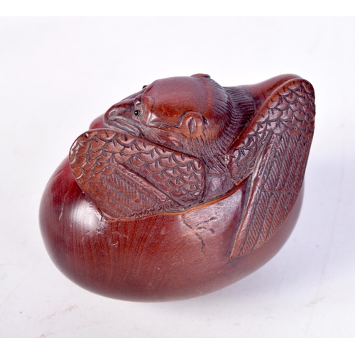 1382 - A JAPANESE HATCHING BAT HARDWOOD NETSUKE. 6.5 cm x 5.25 cm.