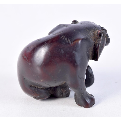 1502 - A JAPANESE CARVED WOOD DOG NETSUKE. 3.5 cm x 3.5 cm.