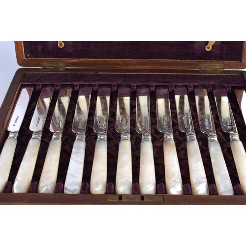 1546 - SILVER BLADED MOTHER OF PEARL CUTLERY. London 1888. 811 grams overall. 19 cm long.