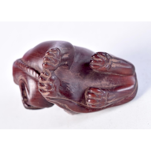 1712 - A JAPANESE CARVED WOOD DOG NETSUKE. 3.5 cm x 2.5 cm.