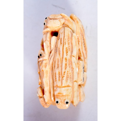 1714 - A JAPANESE CARVED BONE INSECT OKIMONO. 5 cm x 3 cm.